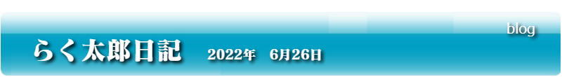 らく太郎日記　2022年　6月26日