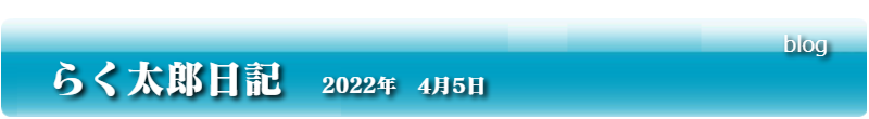 らく太郎日記　2022年　4月5日