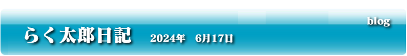 らく太郎日記　2024年　6月17日