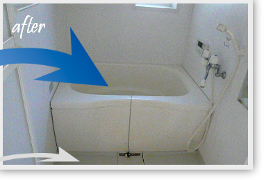 このように不要な混合物、ゴミもまとめて回収、作業後