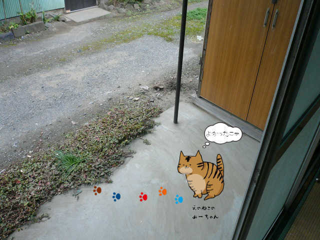 屋外のゴミ大量回収後