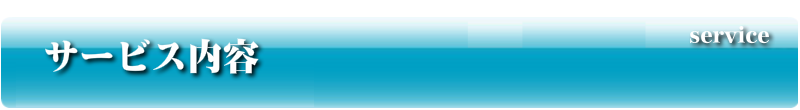 サービス内容
