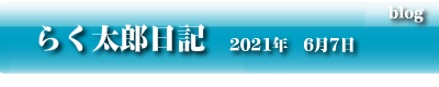 らく太郎日記　2021年6月72日