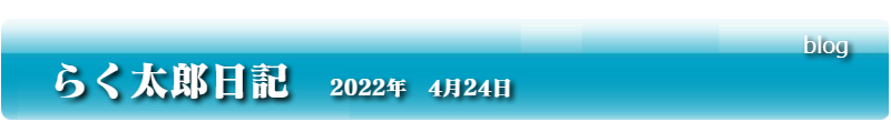 らく太郎日記　2022年　4月24日