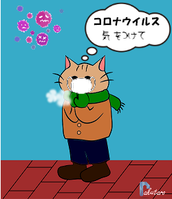 江の猫のみーちゃん