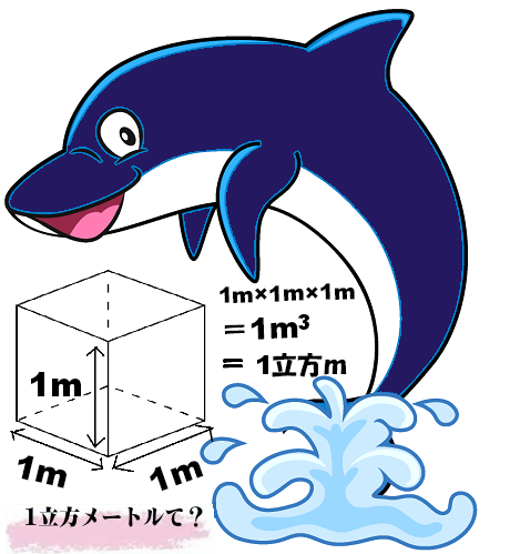 1立方メートルとイルカ